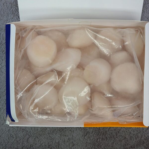 Scallop Meat For Cook 16-20 煮食用帶子 16-20 1KG - Image 2