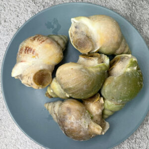 Cooked Jade Whelk 即食翡翠螺50-70