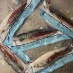 Norway Mackerel Fillet 挪威鯖魚柳 - Image 2