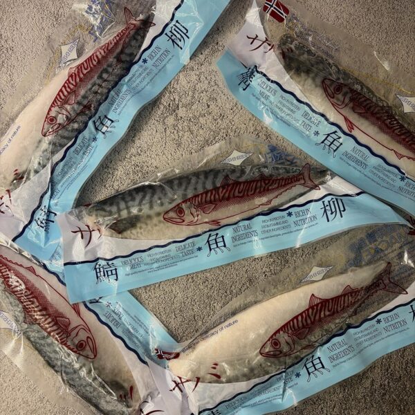 Norway Mackerel Fillet 挪威鯖魚柳 - Image 2
