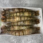 Giant Vietnam Fresh Frozen Shrimp 巨型越南急凍虎蝦 1KG - Image 3